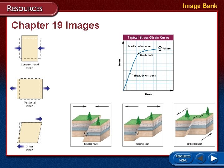 Image Bank Chapter 19 Images 