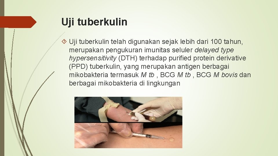 Uji tuberkulin telah digunakan sejak lebih dari 100 tahun, merupakan pengukuran imunitas seluler delayed