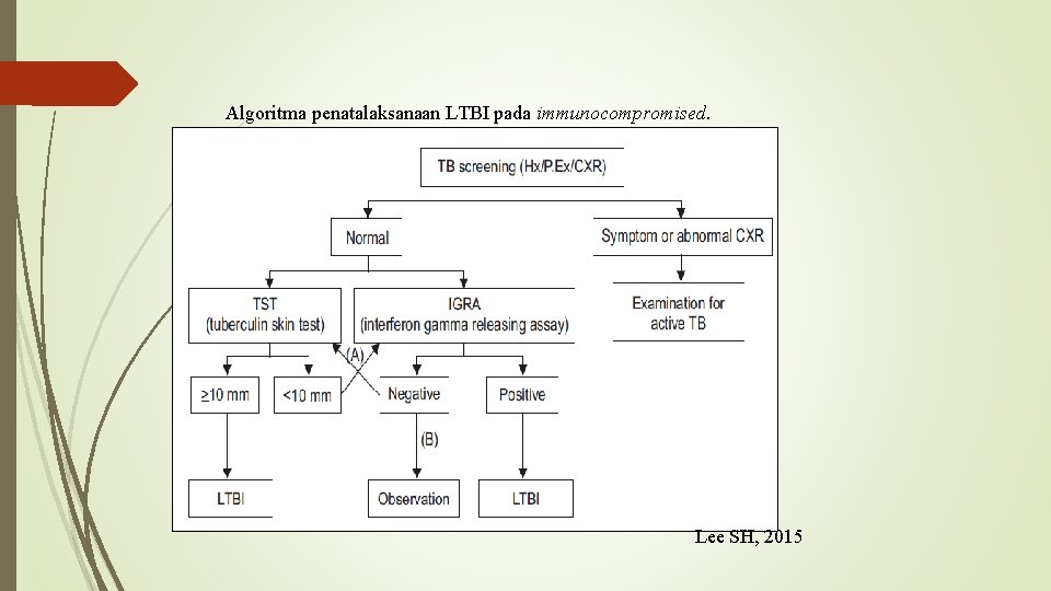 Algoritma penatalaksanaan LTBI pada immunocompromised. Lee SH, 2015 