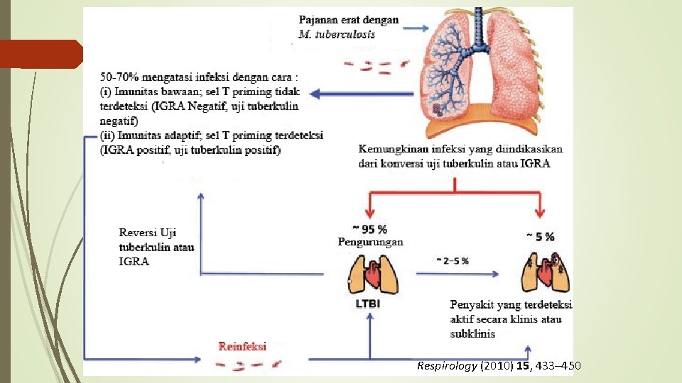 Respirology (2010) 15, 433– 450 