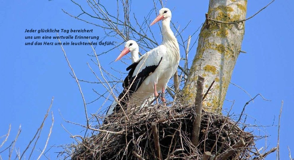 Jeder glückliche Tag bereichert uns um eine wertvolle Erinnerung und das Herz um ein