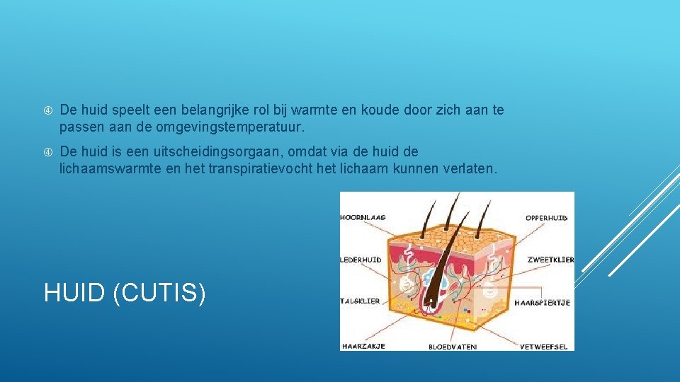  De huid speelt een belangrijke rol bij warmte en koude door zich aan