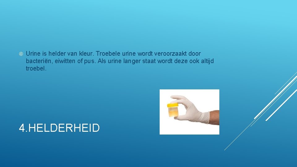  Urine is helder van kleur. Troebele urine wordt veroorzaakt door bacteriën, eiwitten of