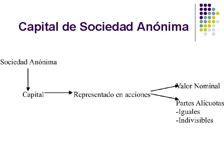 Capital de Sociedad Anónima 