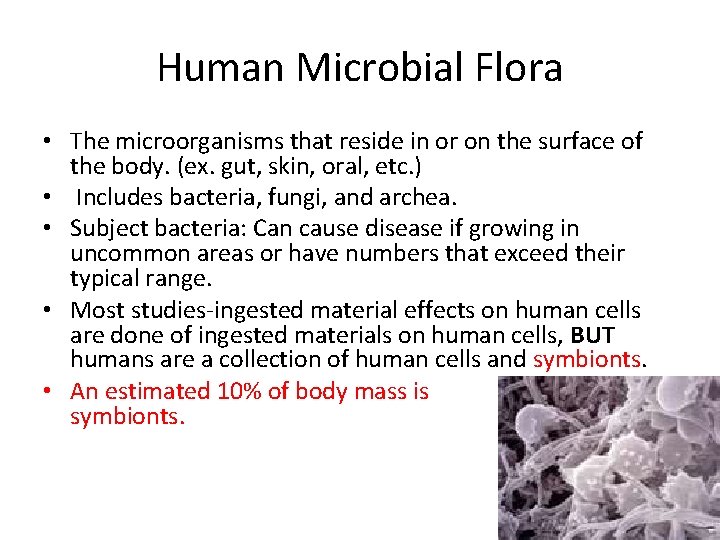 Human Microbial Flora • The microorganisms that reside in or on the surface of