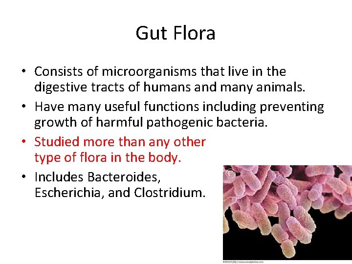 Gut Flora • Consists of microorganisms that live in the digestive tracts of humans