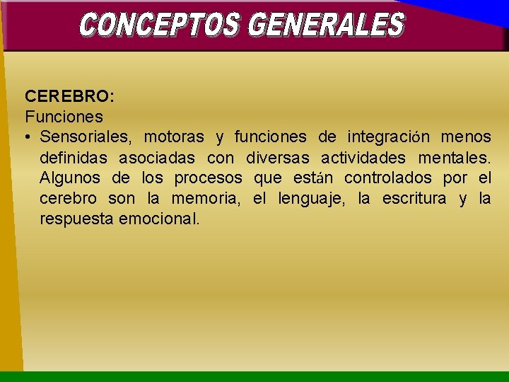 CEREBRO: Funciones • Sensoriales, motoras y funciones de integración menos definidas asociadas con diversas