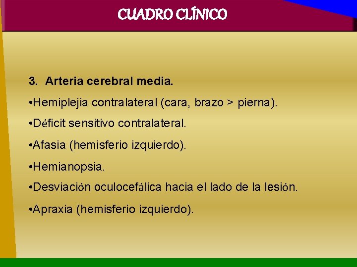 CUADRO CLÍNICO 3. Arteria cerebral media. • Hemiplejia contralateral (cara, brazo > pierna). •