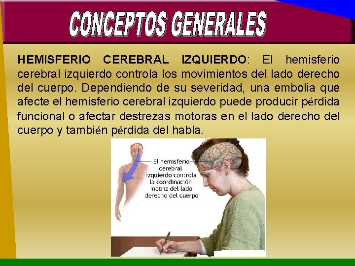 HEMISFERIO CEREBRAL IZQUIERDO: El hemisferio cerebral izquierdo controla los movimientos del lado derecho del