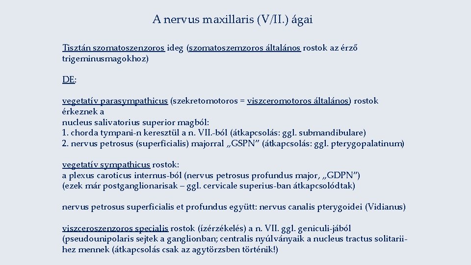 A nervus maxillaris (V/II. ) ágai Tisztán szomatoszenzoros ideg (szomatoszemzoros általános rostok az érző