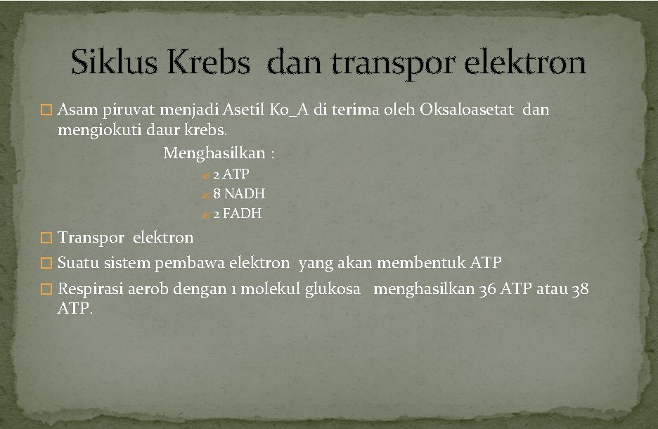 Siklus Krebs dan transpor elektron � Asam piruvat menjadi Asetil Ko_A di terima oleh