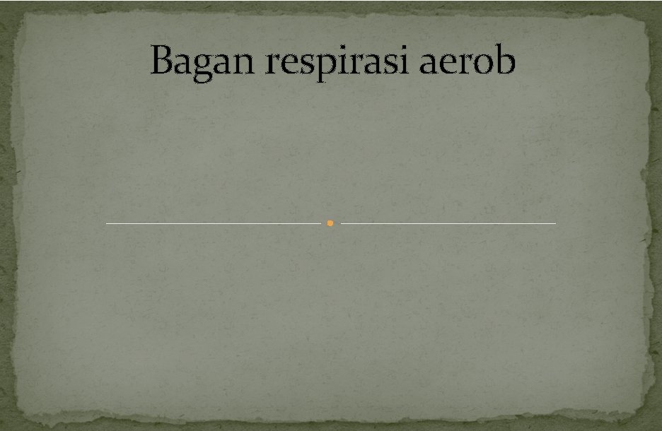 Bagan respirasi aerob 