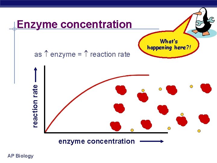 Enzyme concentration reaction rate as enzyme = reaction rate enzyme concentration AP Biology What’s