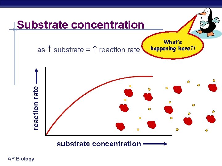 Substrate concentration reaction rate as substrate = reaction rate substrate concentration AP Biology What’s
