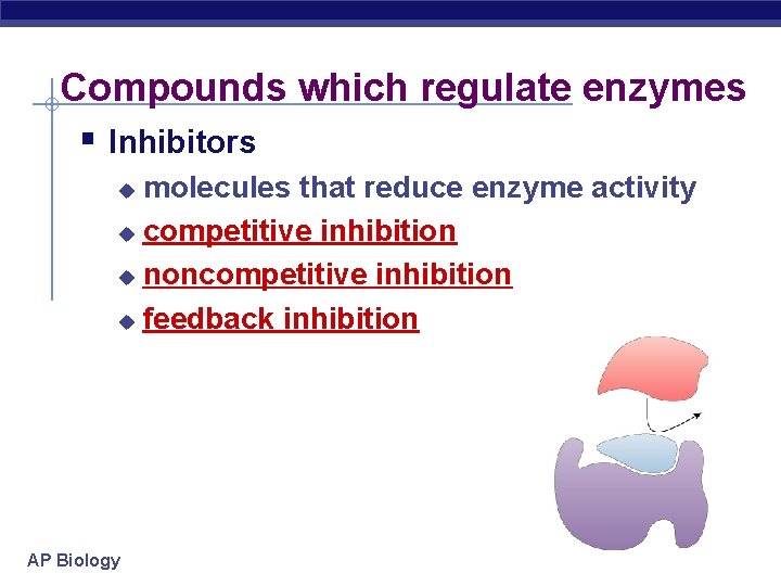 Compounds which regulate enzymes § Inhibitors molecules that reduce enzyme activity u competitive inhibition