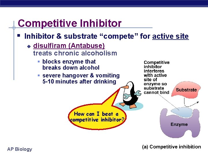 Competitive Inhibitor § Inhibitor & substrate “compete” for active site u disulfiram (Antabuse) treats
