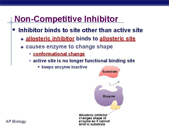 Non-Competitive Inhibitor § Inhibitor binds to site other than active site u u allosteric