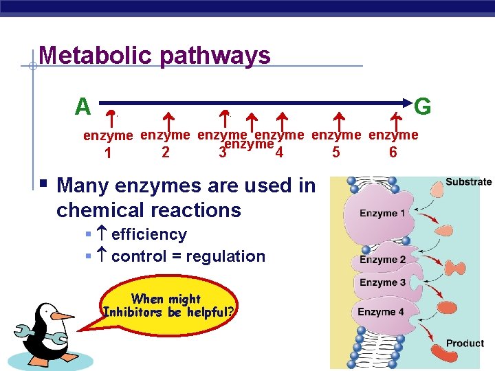 Metabolic pathways 2 1 A B C D E F G 5 6 enzyme