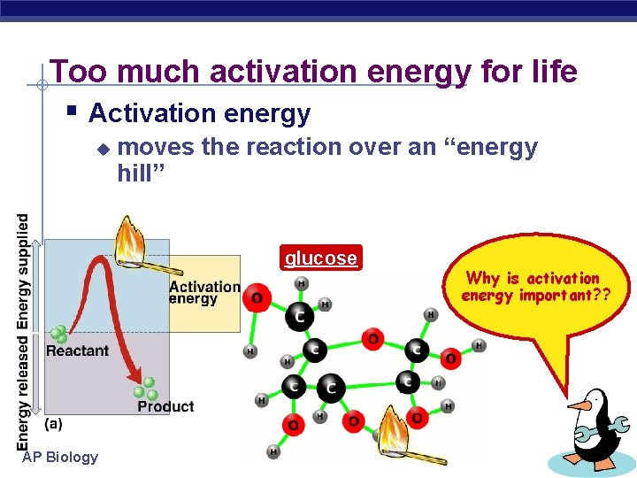 Too much activation energy for life § Activation energy u moves the reaction over