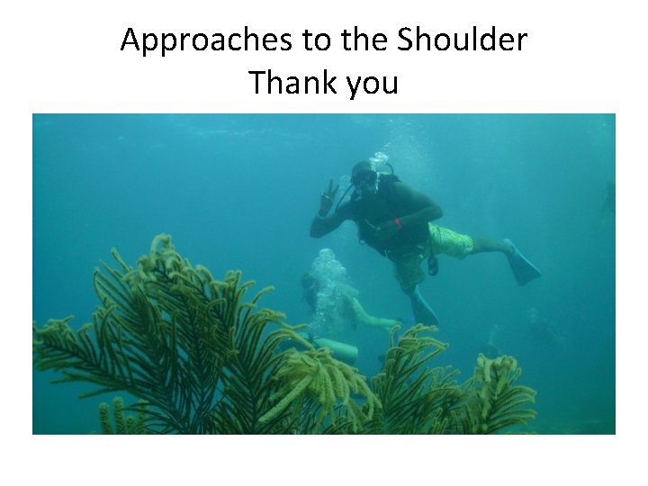 Approaches to the Shoulder Thank you 