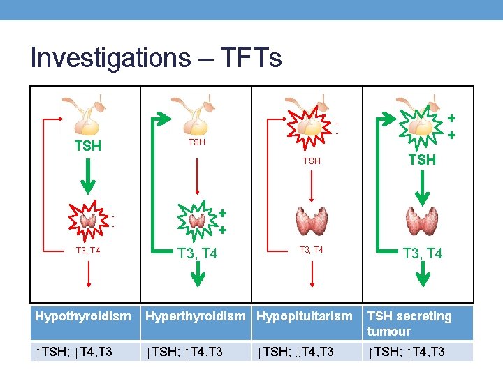 Investigations – TFTs TSH T 3, T 4 + + T 3, T 4 Investigations – TFTs TSH T 3, T 4 + + T 3, T 4