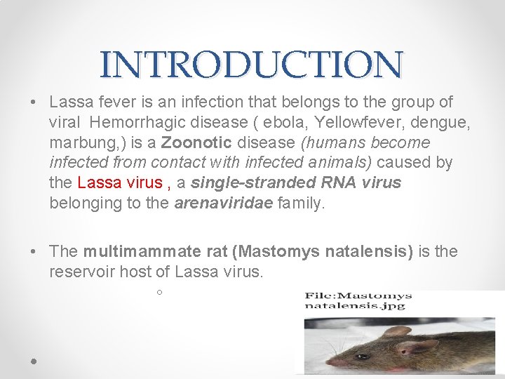 INTRODUCTION • Lassa fever is an infection that belongs to the group of viral