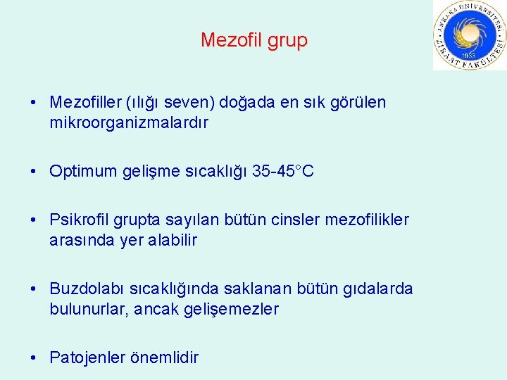 Mezofil grup • Mezofiller (ılığı seven) doğada en sık görülen mikroorganizmalardır • Optimum gelişme