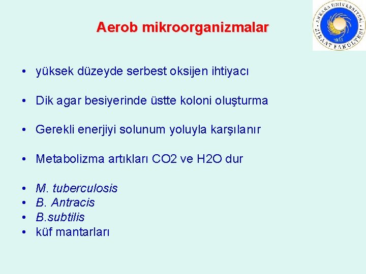 Aerob mikroorganizmalar • yüksek düzeyde serbest oksijen ihtiyacı • Dik agar besiyerinde üstte koloni