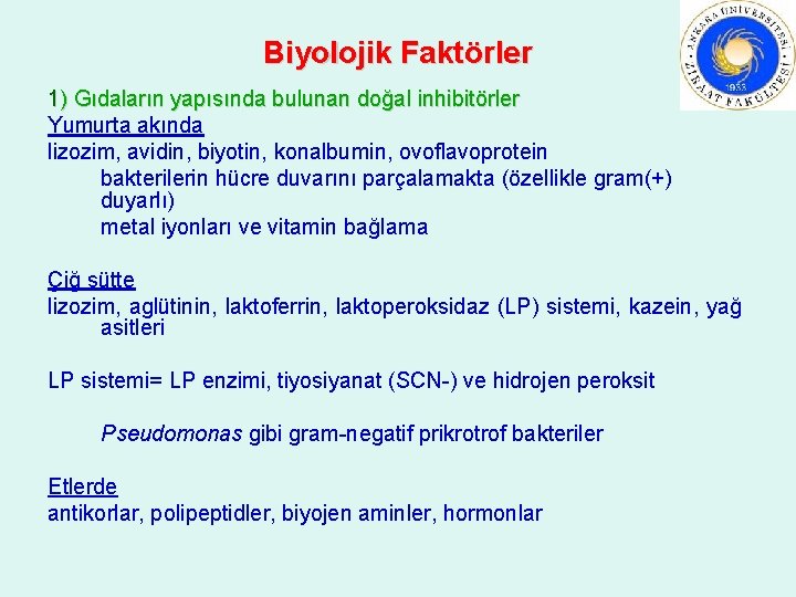 Biyolojik Faktörler 1) Gıdaların yapısında bulunan doğal inhibitörler Yumurta akında lizozim, avidin, biyotin, konalbumin,