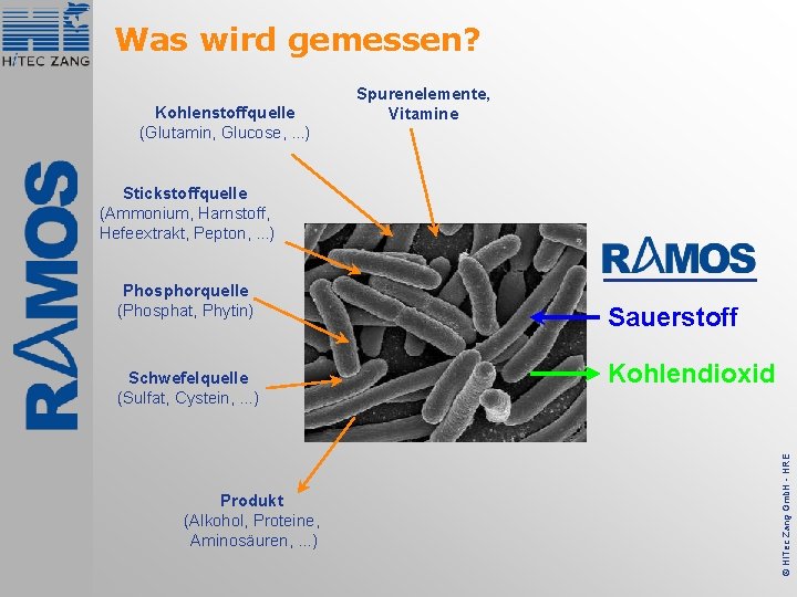 Was wird gemessen? Kohlenstoffquelle (Glutamin, Glucose, . . . ) Spurenelemente, Vitamine Stickstoffquelle (Ammonium,