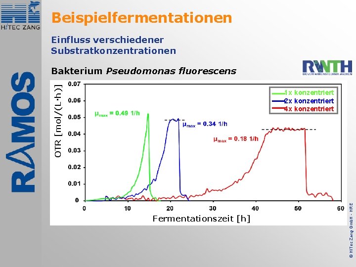 Beispielfermentationen Einfluss verschiedener Substratkonzentrationen OTR [mol/(L·h)] Bakterium Pseudomonas fluorescens Fermentationszeit [h] © Hi. Tec