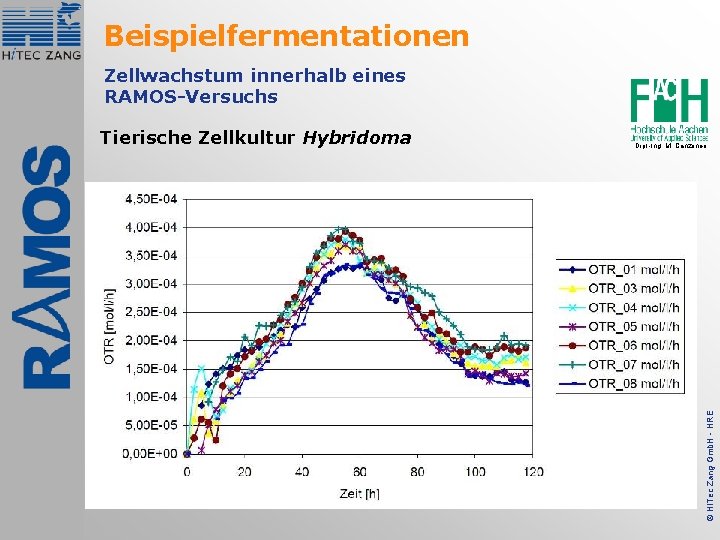 Beispielfermentationen Zellwachstum innerhalb eines RAMOS-Versuchs Dipl. -Ing. M. Canzoneri © Hi. Tec Zang Gmb.