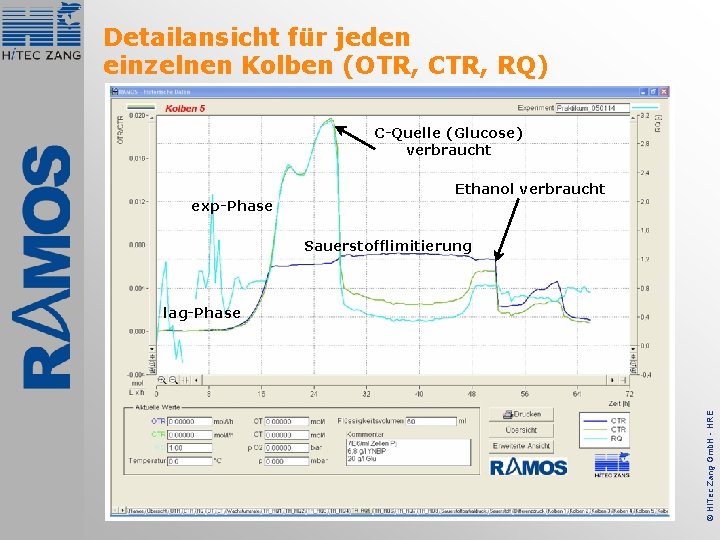 Detailansicht für jeden einzelnen Kolben (OTR, CTR, RQ) C-Quelle (Glucose) verbraucht Ethanol verbraucht exp-Phase