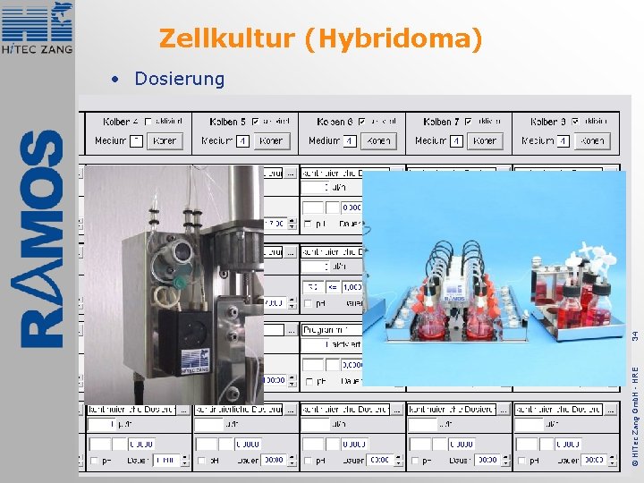 Zellkultur (Hybridoma) © Hi. Tec Zang Gmb. H - HRE 34 • Dosierung 