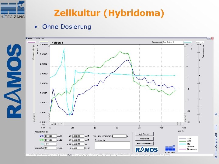 Zellkultur (Hybridoma) © Hi. Tec Zang Gmb. H - HRE 40 • Ohne Dosierung