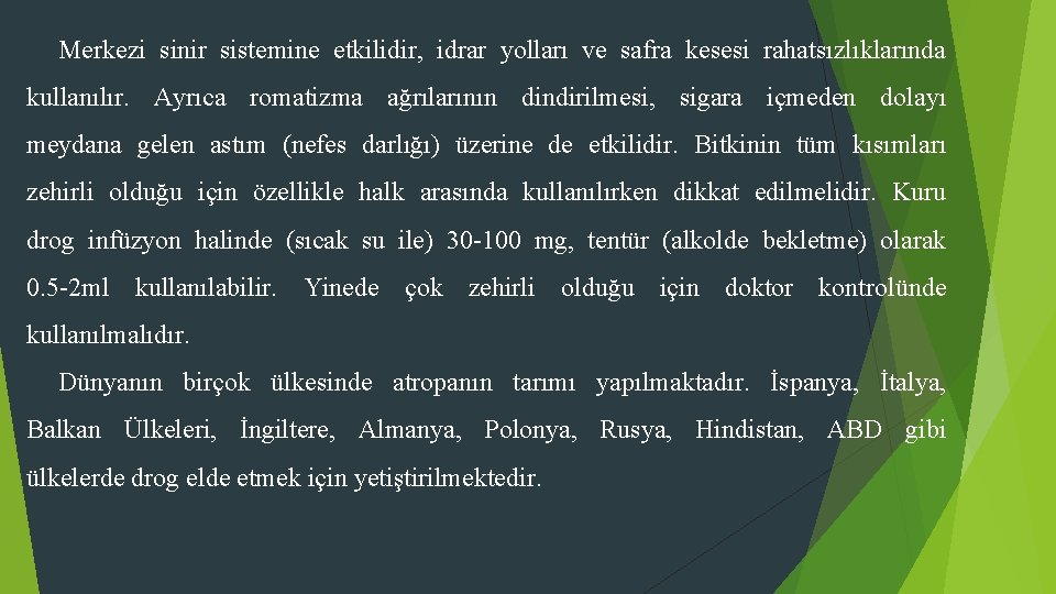 Merkezi sinir sistemine etkilidir, idrar yolları ve safra kesesi rahatsızlıklarında kullanılır. Ayrıca romatizma ağrılarının