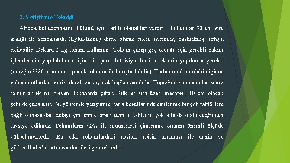 2. Yetiştirme Tekniği Atropa belladonna'nın kültürü için farklı olanaklar vardır. Tohumlar 50 cm sıra