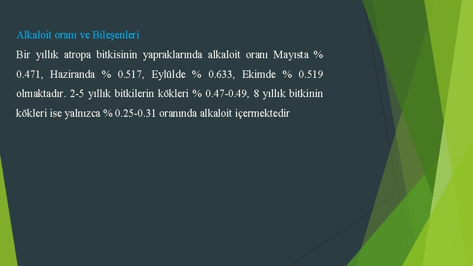 Alkaloit oranı ve Bileşenleri Bir yıllık atropa bitkisinin yapraklarında alkaloit oranı Mayısta % 0.