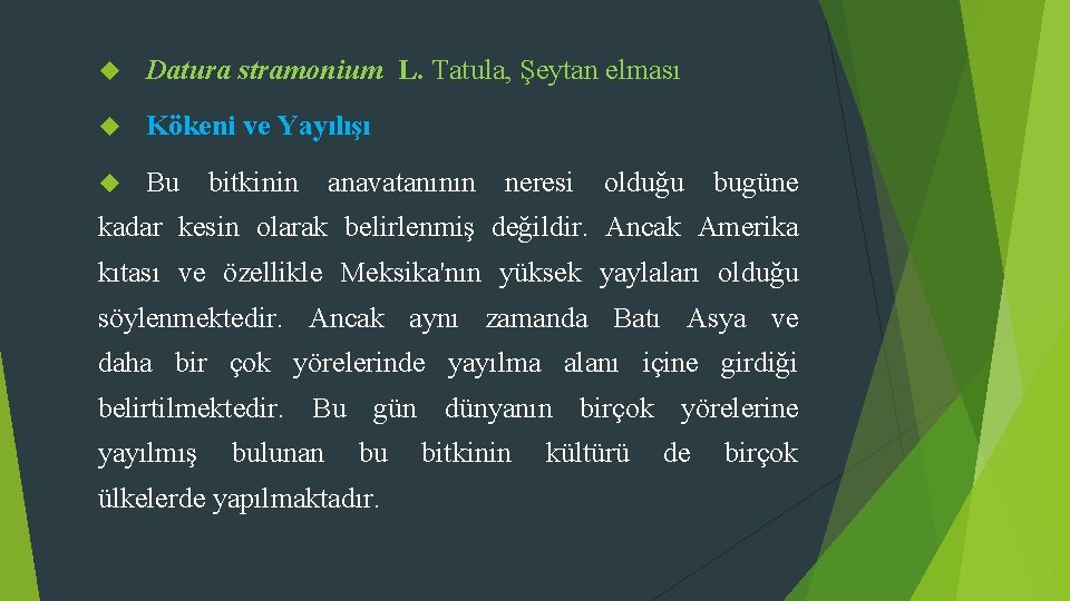  Datura stramonium L. Tatula, Şeytan elması Kökeni ve Yayılışı Bu bitkinin anavatanının neresi