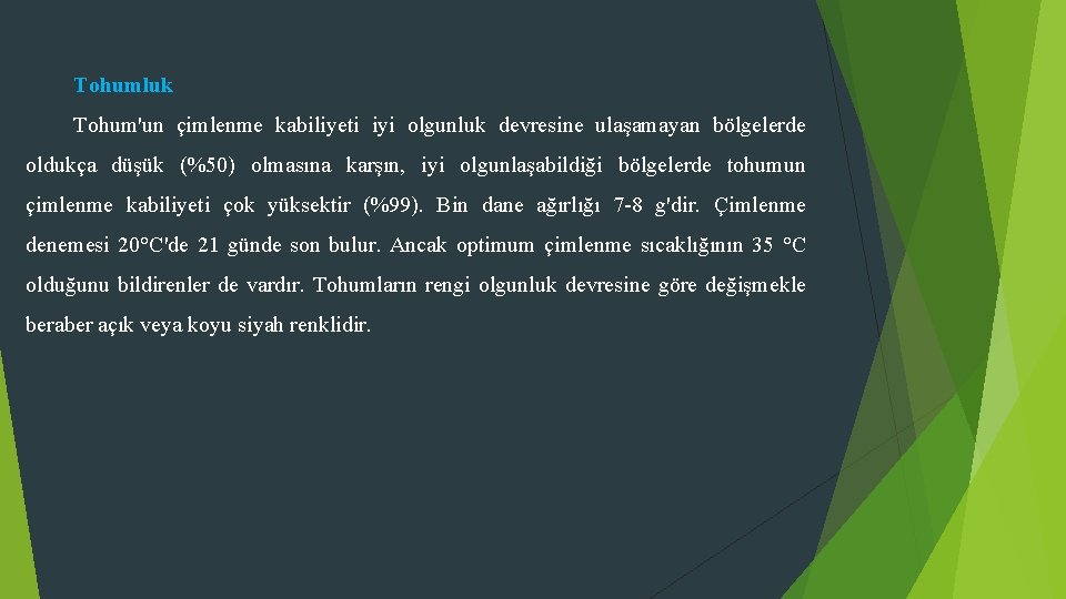 Tohumluk Tohum'un çimlenme kabiliyeti iyi olgunluk devresine ulaşamayan bölgelerde oldukça düşük (%50) olmasına karşın,