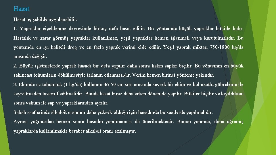 Hasat üç şekilde uygulanabilir: 1. Yapraklar çiçeklenme devresinde birkaç defa hasat edilir. Bu yöntemde