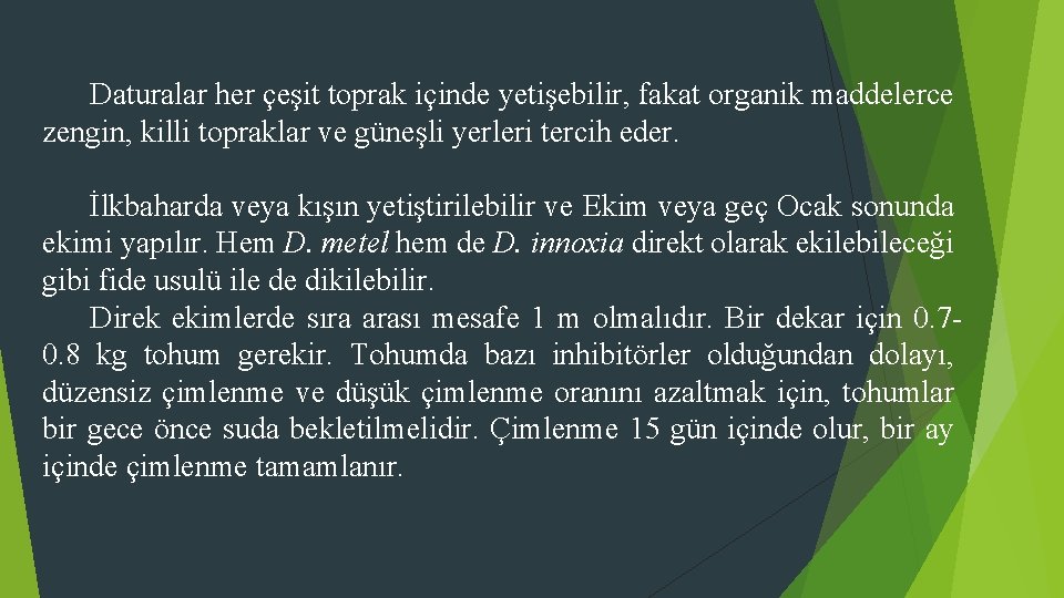 Daturalar her çeşit toprak içinde yetişebilir, fakat organik maddelerce zengin, killi topraklar ve güneşli