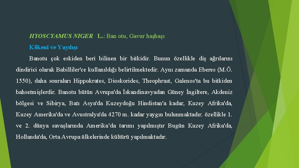 HYOSCYAMUS NIGER L. : Ban otu, Gavur haşhaşı Kökeni ve Yayılışı Banotu çok eskiden