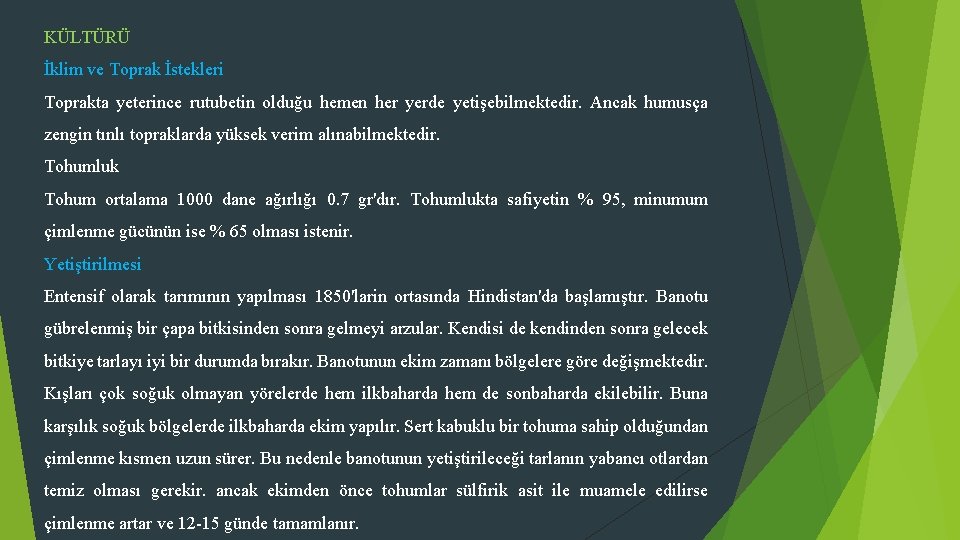 KÜLTÜRÜ İklim ve Toprak İstekleri Toprakta yeterince rutubetin olduğu hemen her yerde yetişebilmektedir. Ancak