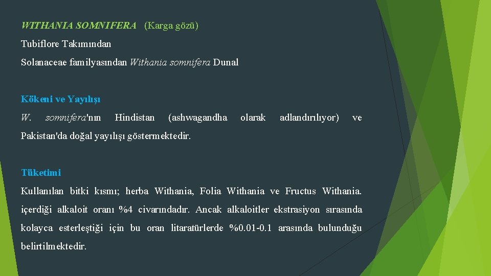 WITHANIA SOMNIFERA (Karga gözü) Tubiflore Takımından Solanaceae familyasından Withania somnifera Dunal Kökeni ve Yayılışı