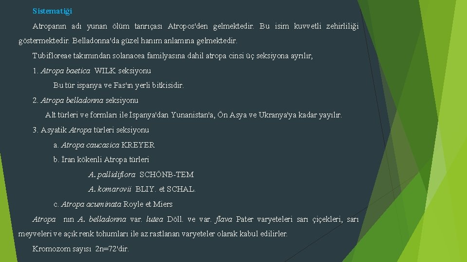 Sistematiği Atropanın adı yunan ölüm tanrıçası Atropos'den gelmektedir. Bu isim kuvvetli zehirliliği göstermektedir. Belladonna'da