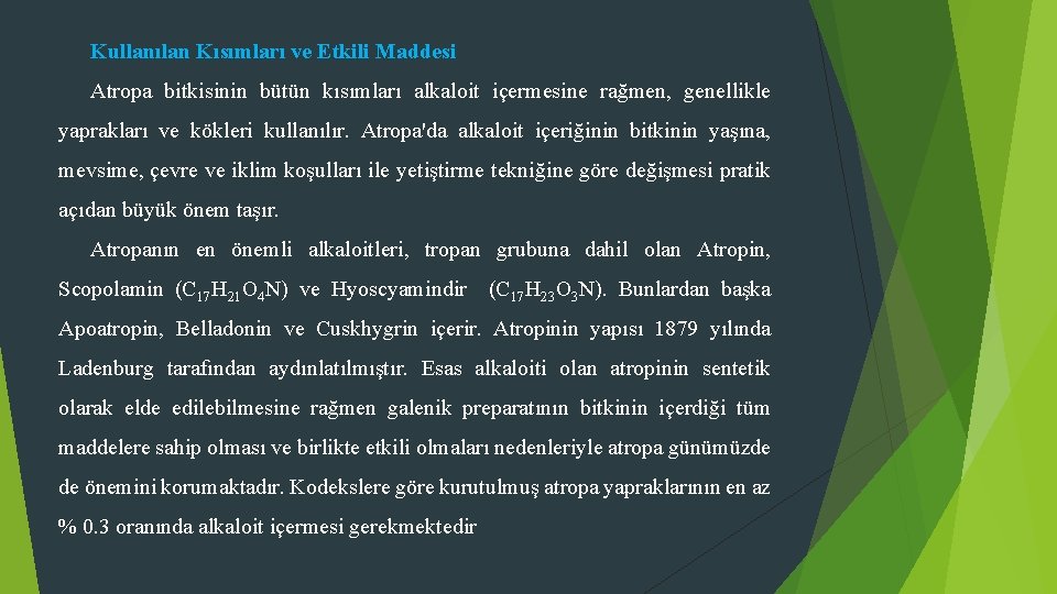 Kullanılan Kısımları ve Etkili Maddesi Atropa bitkisinin bütün kısımları alkaloit içermesine rağmen, genellikle yaprakları