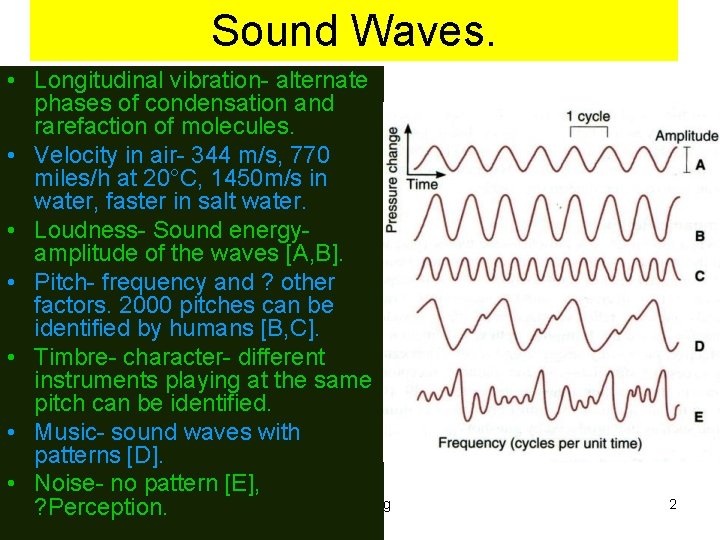 Sound Waves. • Longitudinal vibration- alternate phases of condensation and rarefaction of molecules. •