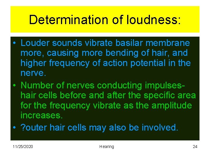 Determination of loudness: • Louder sounds vibrate basilar membrane more, causing more bending of