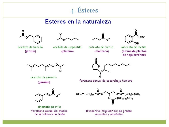 4. Ésteres 